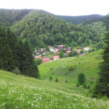 Apartament Sleep In Lerbach Osterode am Harz Pokój zdjęcie