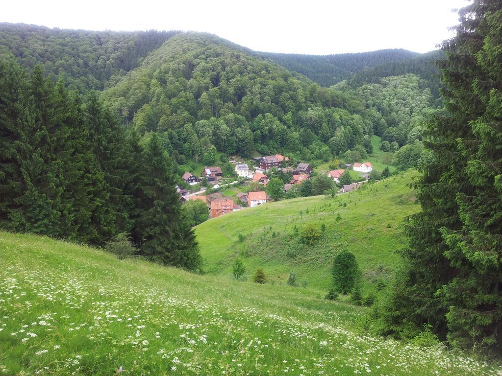 Apartament Sleep In Lerbach Osterode am Harz Pokój zdjęcie